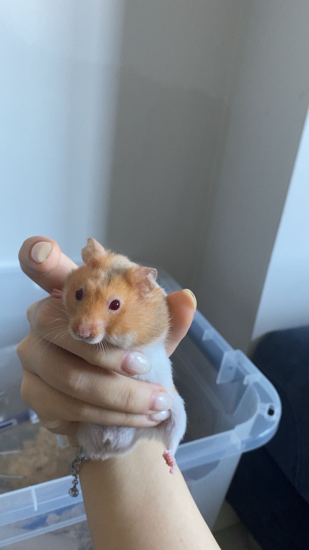 Casper